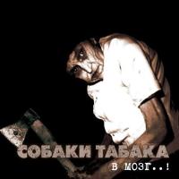 Виниловая пластинка TABAKA SOBAKI / V MOZG (1LP)